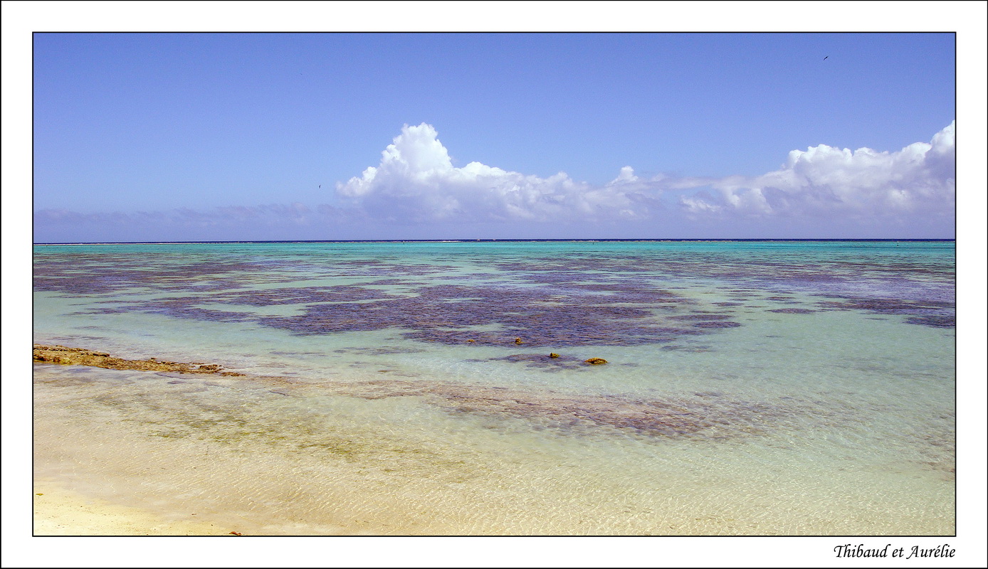 2009 - 08 - Moorea 05